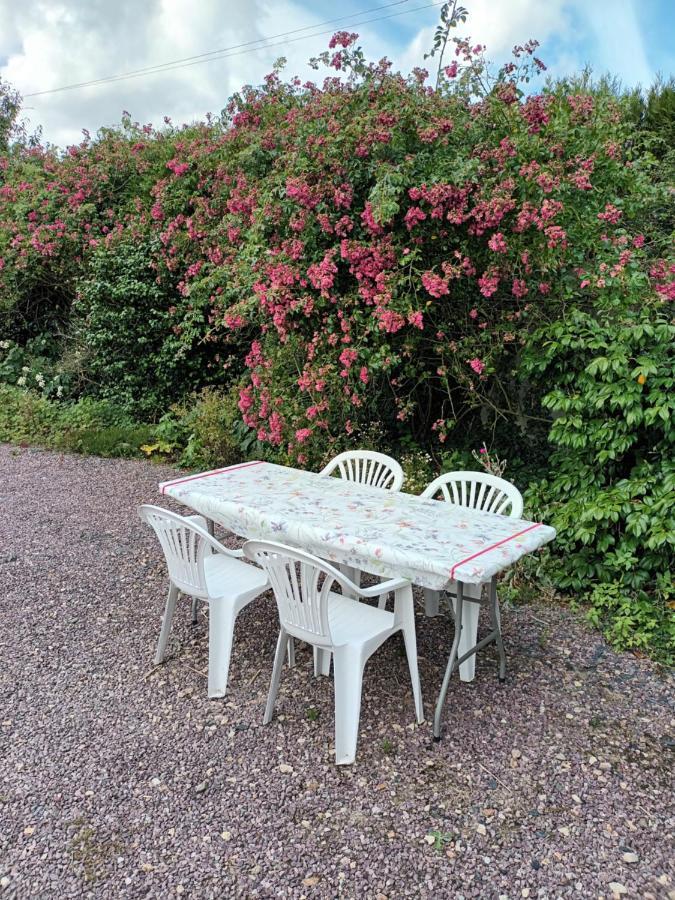 Ecrin De Fleurs Et Verdure Sept-vents Номер фото